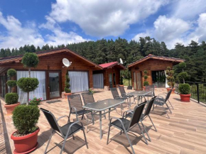 SAFI FOREST village